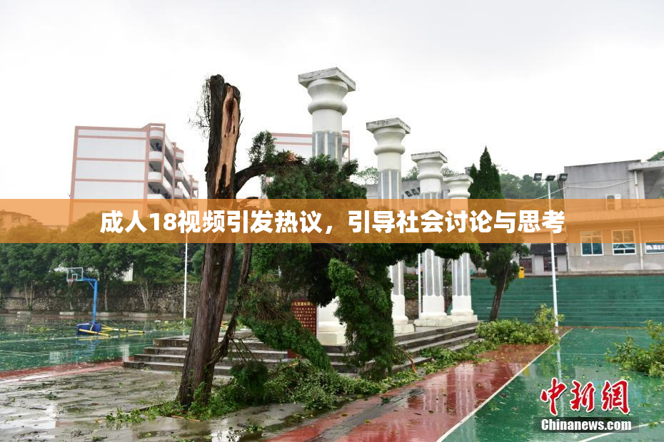 成人18视频引发热议，引导社会讨论与思考