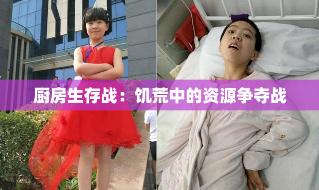 厨房生存战：饥荒中的资源争夺战