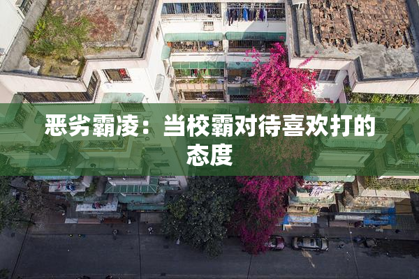 恶劣霸凌：当校霸对待喜欢打的态度