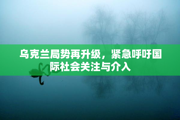 乌克兰局势再升级，紧急呼吁国际社会关注与介入