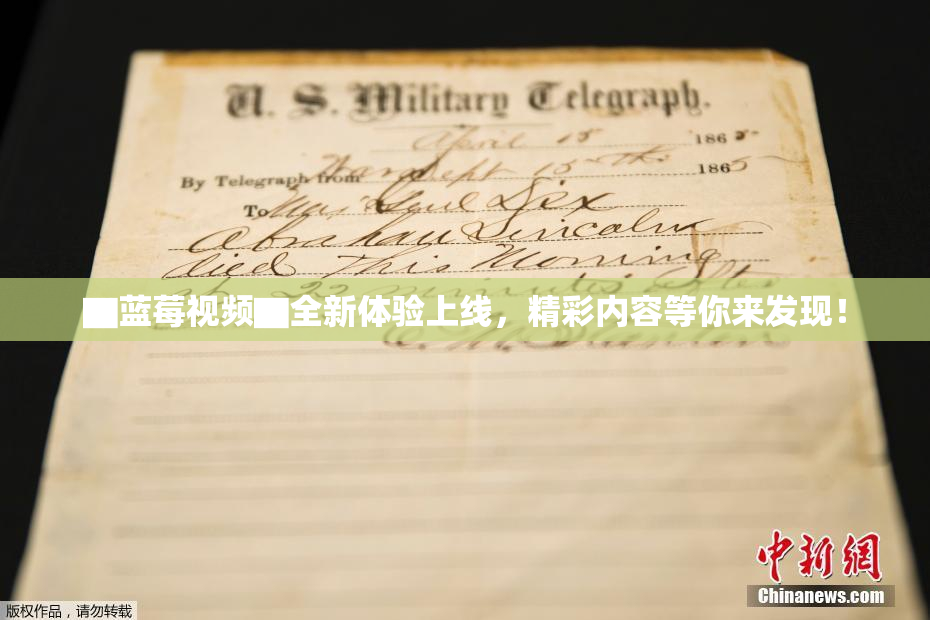 ▇蓝莓视频▇全新体验上线，精彩内容等你来发现！