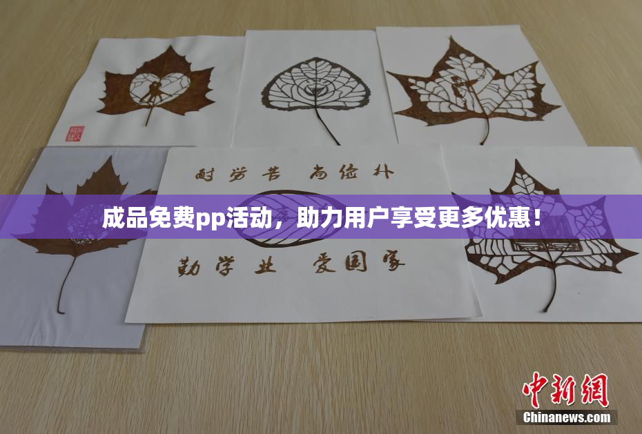 成品免费pp活动，助力用户享受更多优惠！