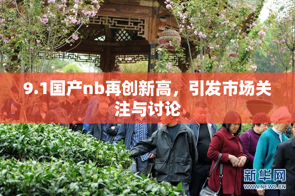 9.1国产nb再创新高，引发市场关注与讨论