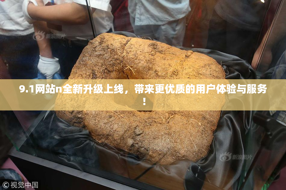9.1网站n全新升级上线，带来更优质的用户体验与服务！