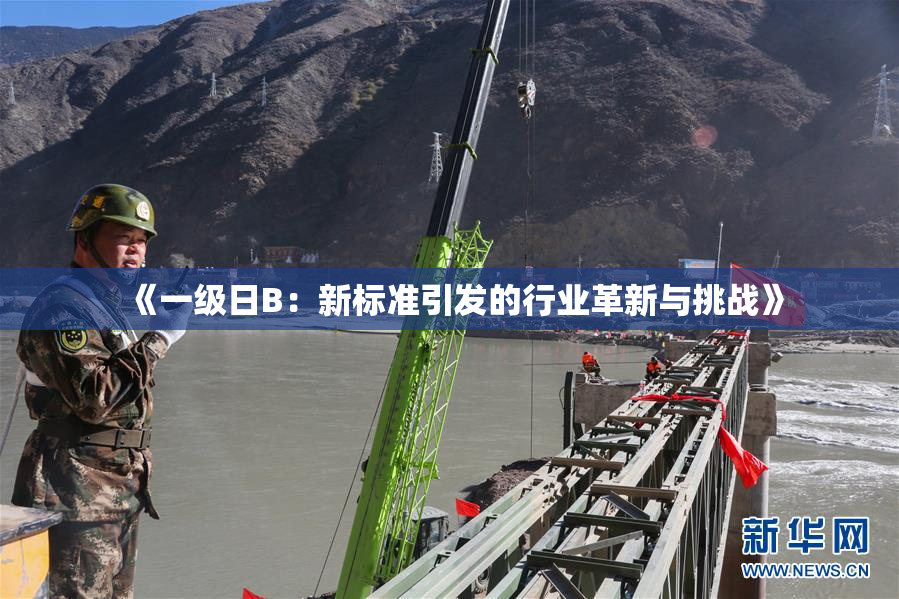 《一级日B：新标准引发的行业革新与挑战》