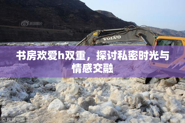 书房欢爱h双重，探讨私密时光与情感交融