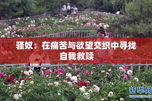 骚奴：在痛苦与欲望交织中寻找自我救赎