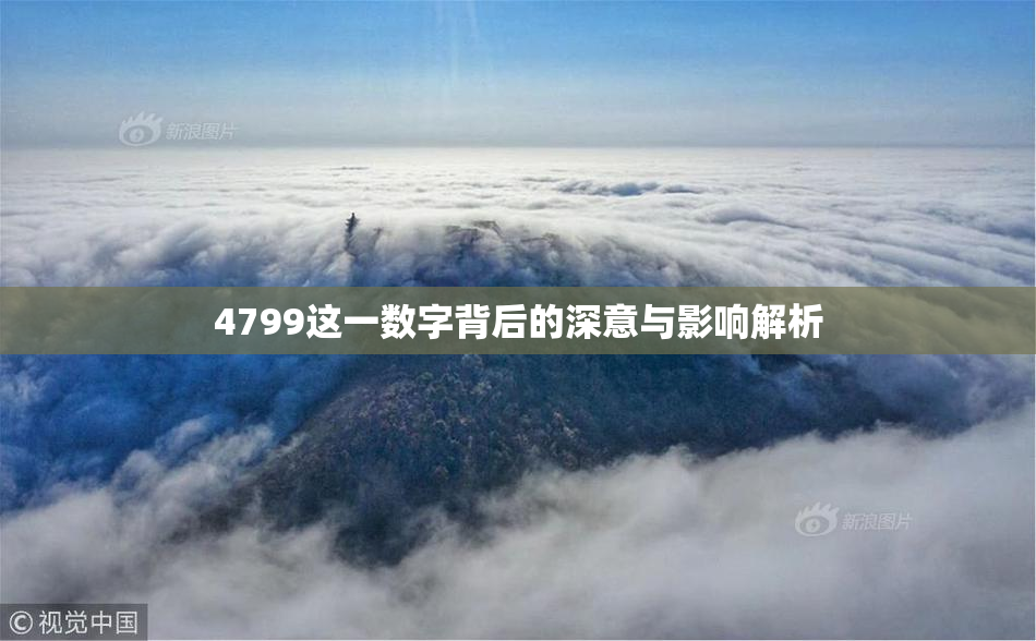 4799这一数字背后的深意与影响解析