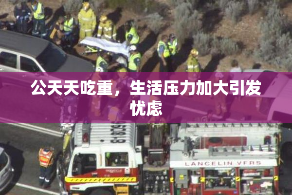 公天天吃重，生活压力加大引发忧虑