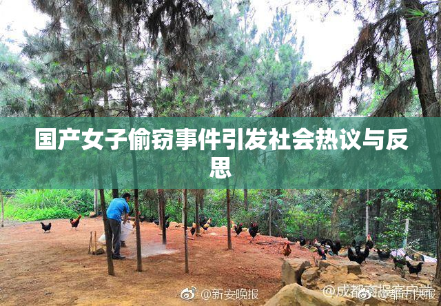 国产女子偷窃事件引发社会热议与反思