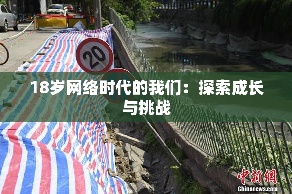 18岁网络时代的我们：探索成长与挑战