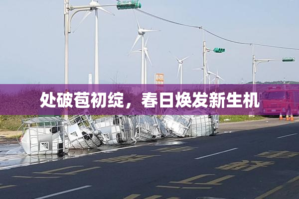 处破苞初绽，春日焕发新生机