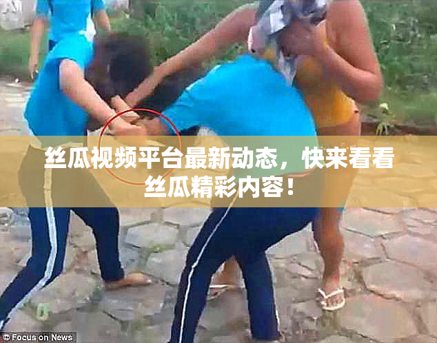 丝瓜视频平台最新动态，快来看看丝瓜精彩内容！