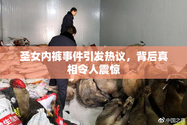 圣女内裤事件引发热议，背后真相令人震惊
