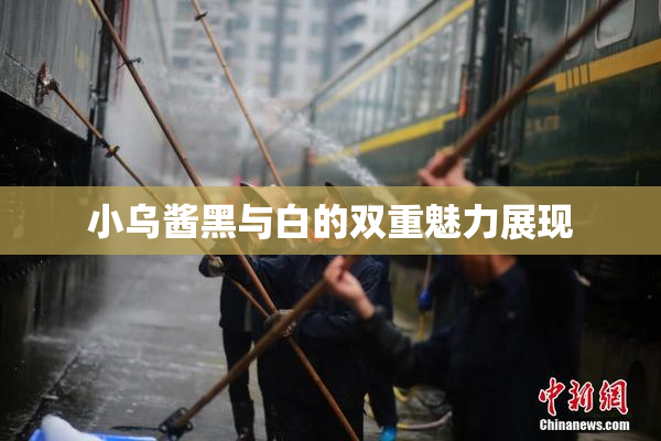 小乌酱黑与白的双重魅力展现