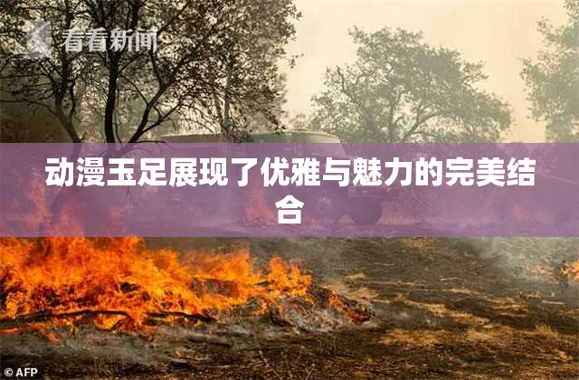 动漫玉足展现了优雅与魅力的完美结合