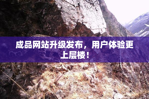 成品网站升级发布，用户体验更上层楼！