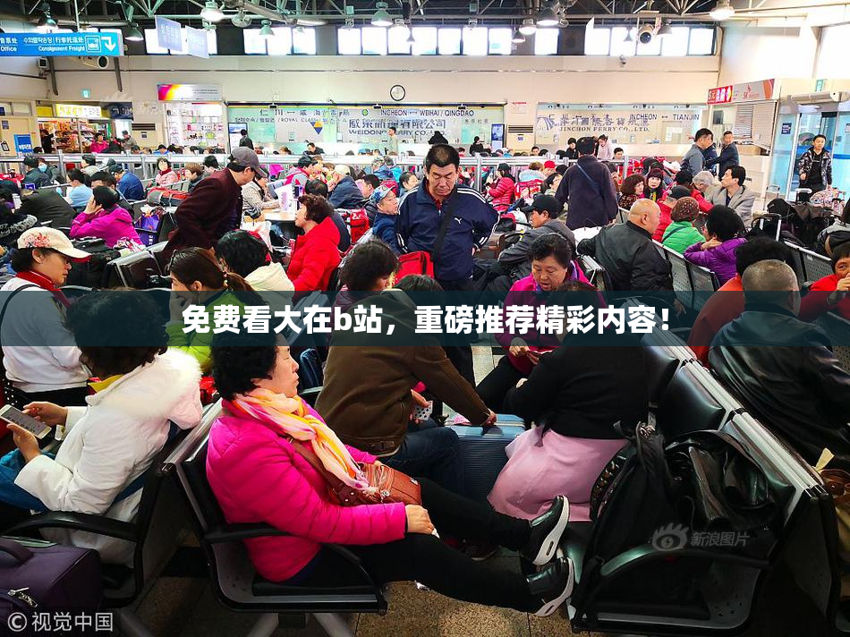 免费看大在b站，重磅推荐精彩内容！