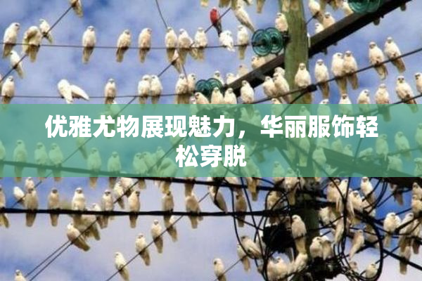 优雅尤物展现魅力，华丽服饰轻松穿脱