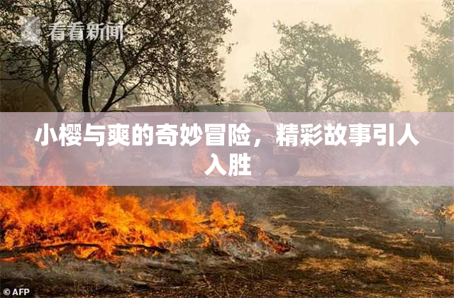 小樱与爽的奇妙冒险，精彩故事引人入胜