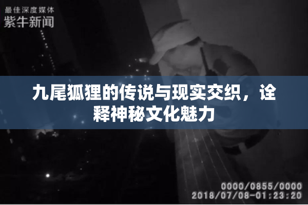 九尾狐狸的传说与现实交织，诠释神秘文化魅力