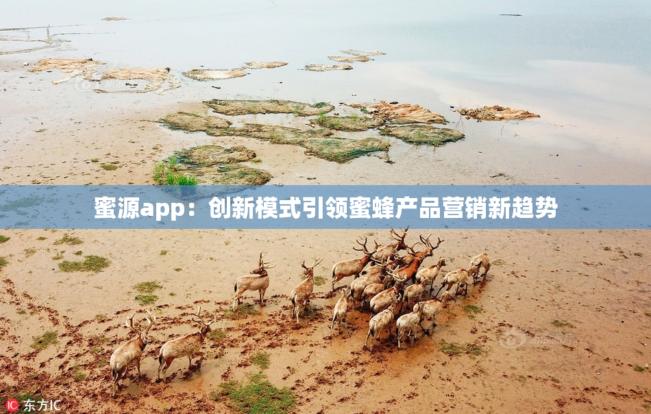 蜜源app：创新模式引领蜜蜂产品营销新趋势