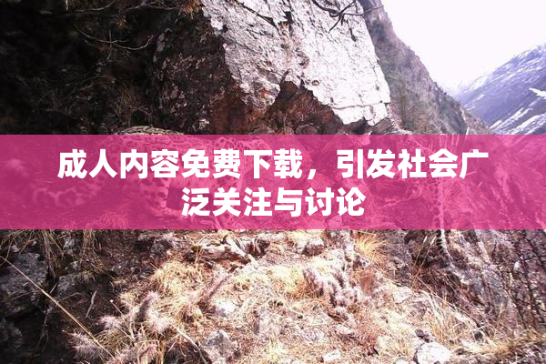 成人内容免费下载，引发社会广泛关注与讨论