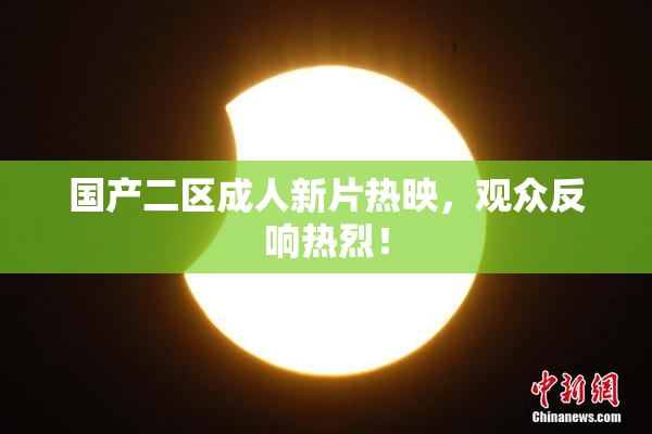 国产二区成人新片热映，观众反响热烈！