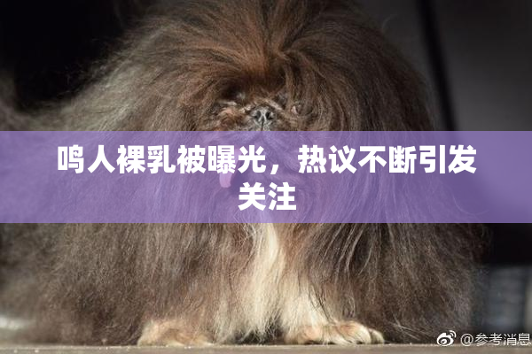 鸣人裸乳被曝光，热议不断引发关注