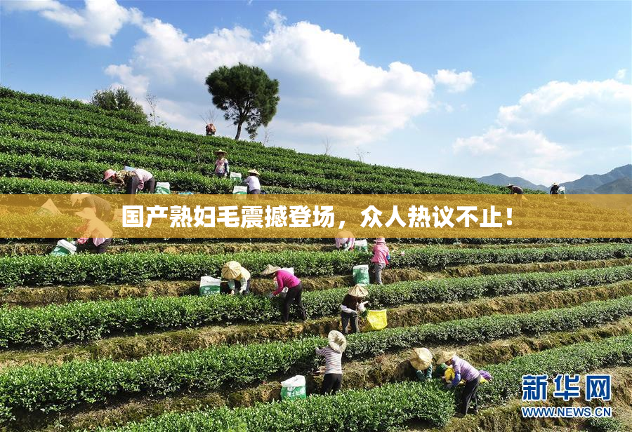国产熟妇毛震撼登场，众人热议不止！