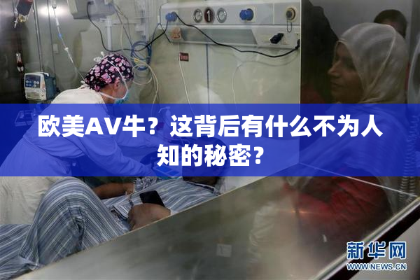 欧美AV牛？这背后有什么不为人知的秘密？