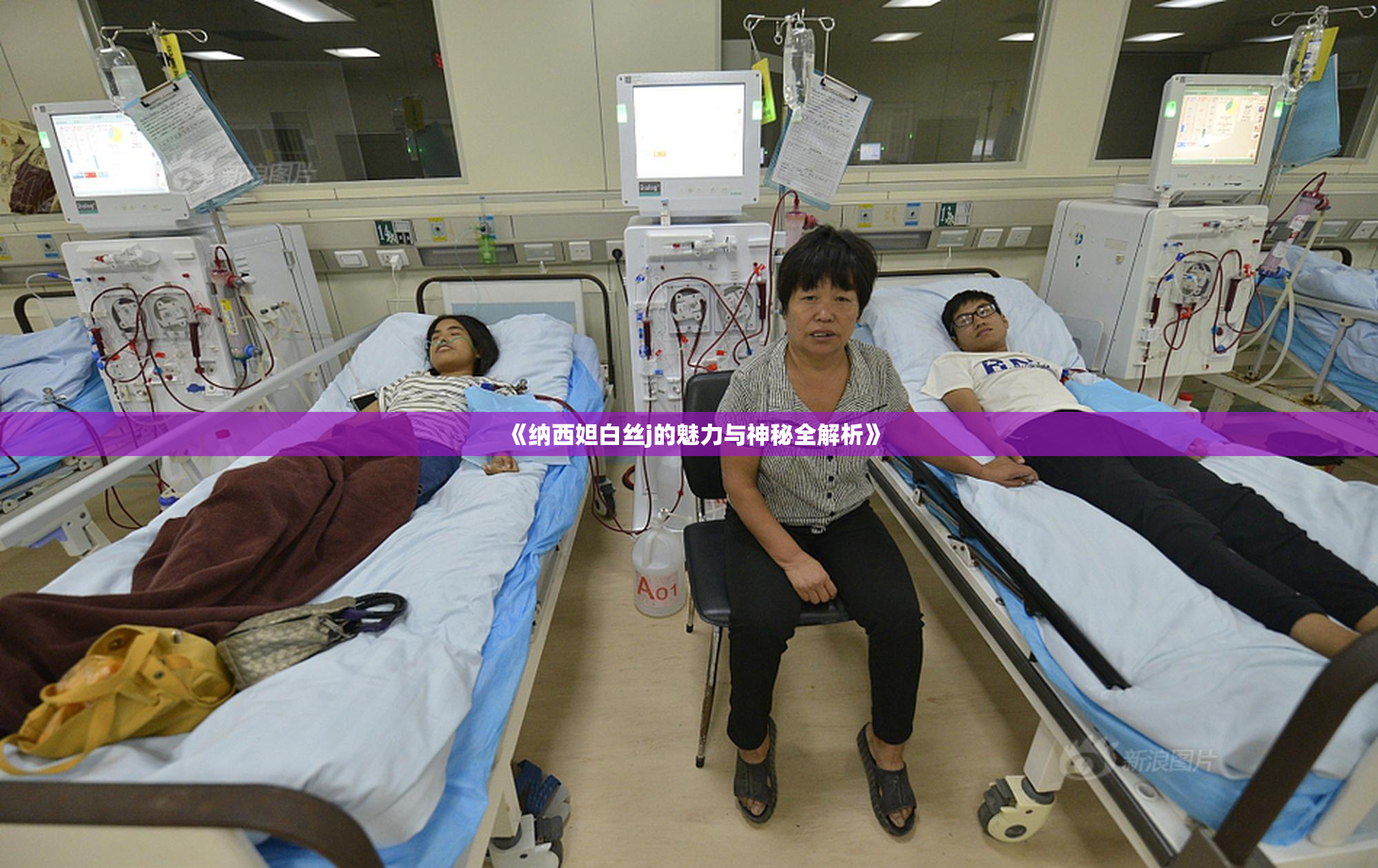 《纳西妲白丝j的魅力与神秘全解析》