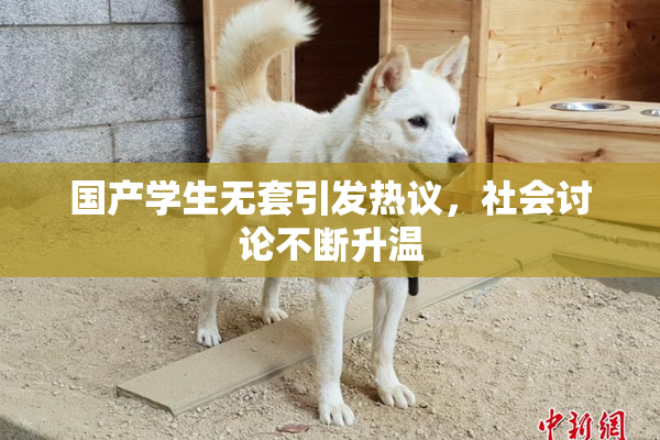 国产学生无套引发热议，社会讨论不断升温