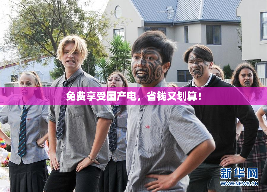 免费享受国产电，省钱又划算！