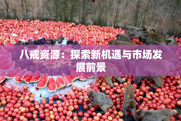 八戒资源：探索新机遇与市场发展前景