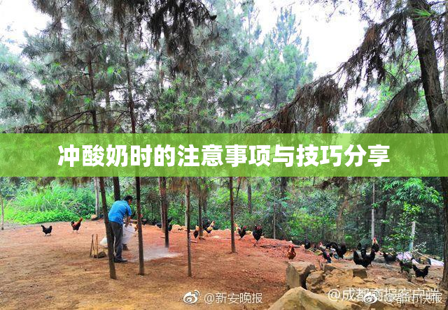 冲酸奶时的注意事项与技巧分享
