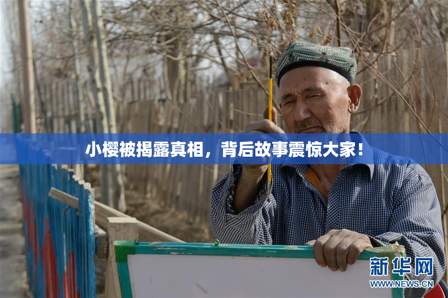 小樱被揭露真相，背后故事震惊大家！