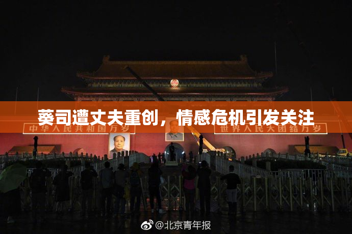 葵司遭丈夫重创，情感危机引发关注