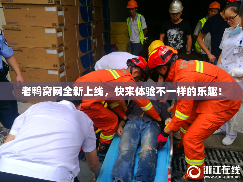 老鸭窝网全新上线，快来体验不一样的乐趣！