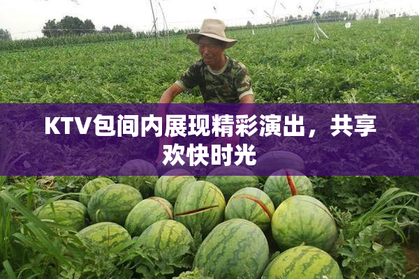KTV包间内展现精彩演出，共享欢快时光