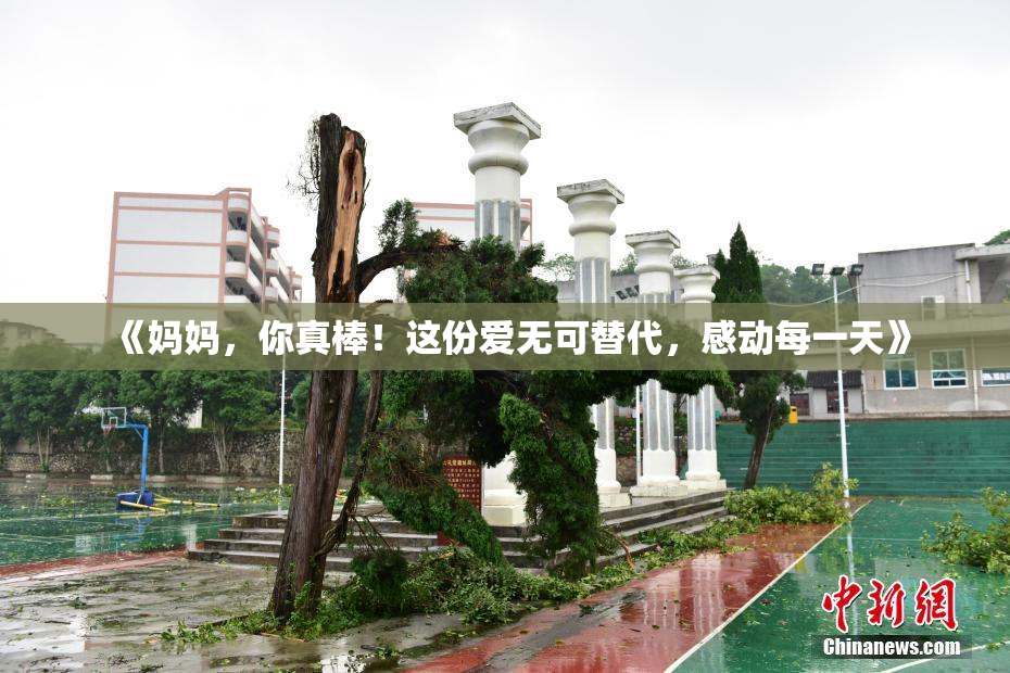《妈妈，你真棒！这份爱无可替代，感动每一天》