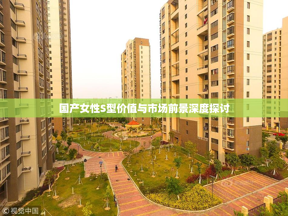 国产女性S型价值与市场前景深度探讨