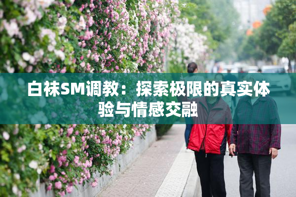 白袜SM调教：探索极限的真实体验与情感交融
