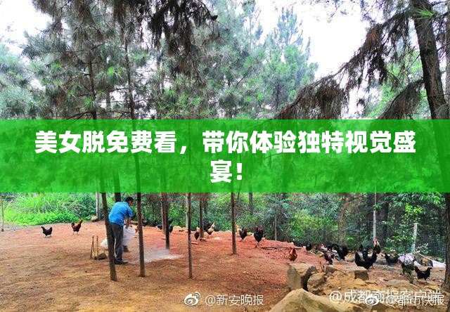 美女脱免费看，带你体验独特视觉盛宴！