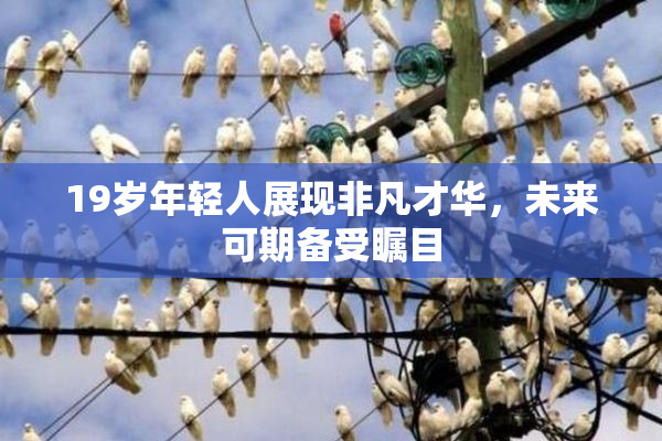 19岁年轻人展现非凡才华，未来可期备受瞩目