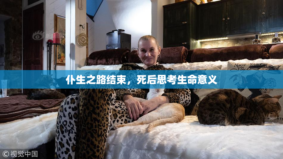 仆生之路结束，死后思考生命意义