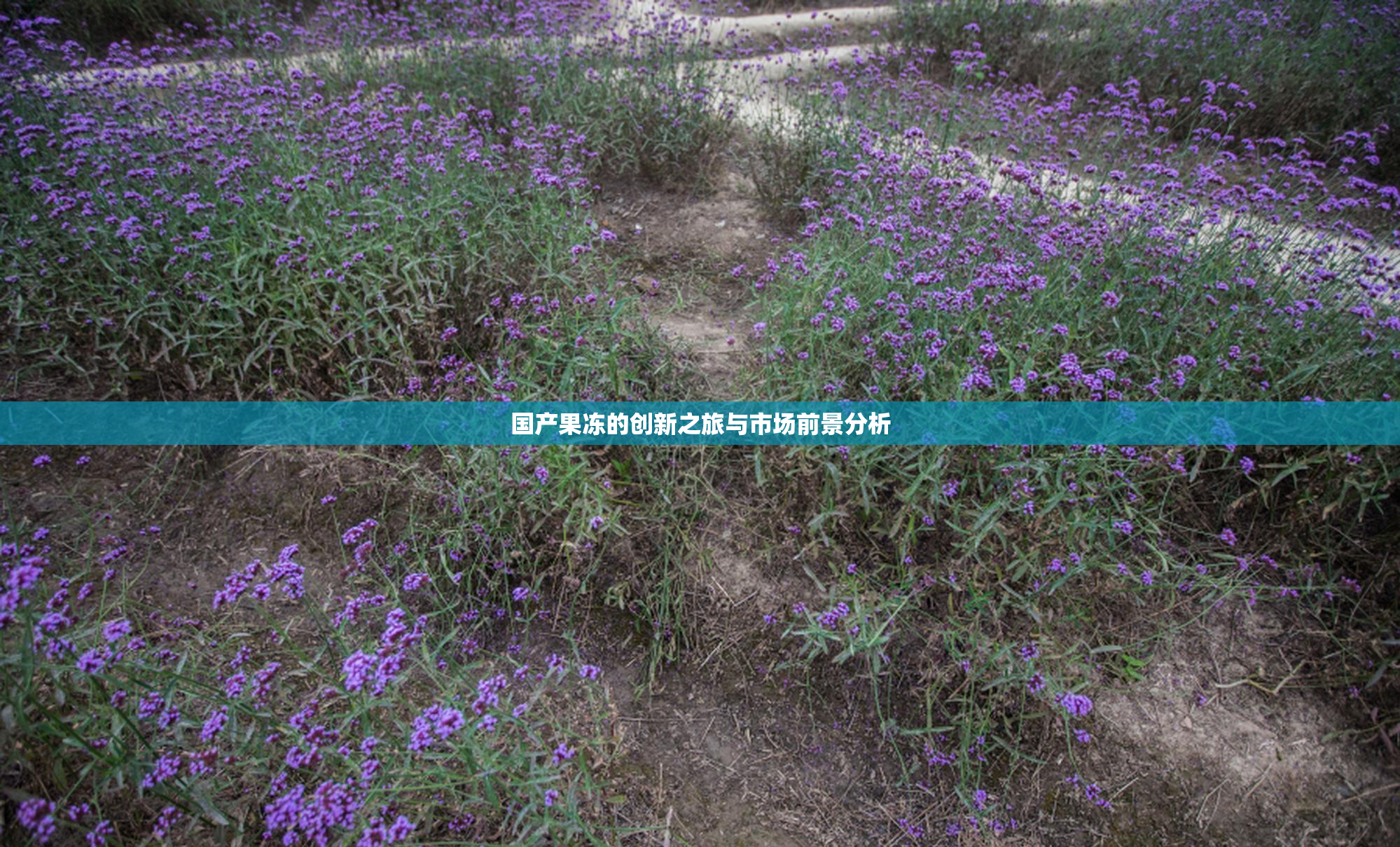 国产果冻的创新之旅与市场前景分析