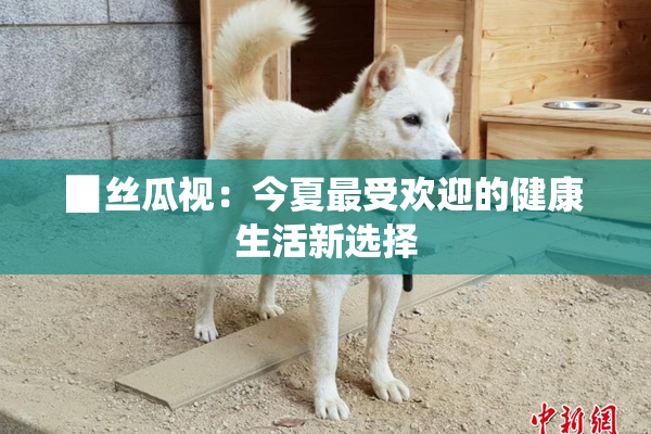 ▉丝瓜视：今夏最受欢迎的健康生活新选择