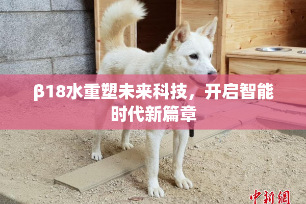 β18水重塑未来科技，开启智能时代新篇章