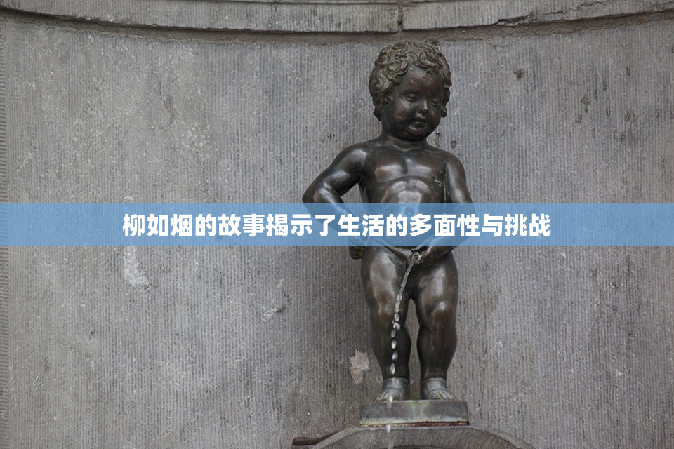 柳如烟的故事揭示了生活的多面性与挑战